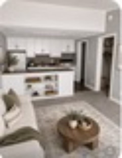 705 South Lincoln St. Studio-2 Beds Apartment for Rent