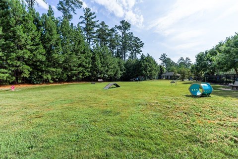 a large grassy field with agility equipment and trees