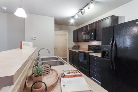 a kitchen with black appliances and a counter top with a sink