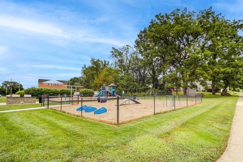 A playground with a blue slide and a fence.