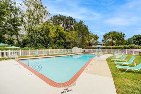 A pool with a no diving sign on the side.