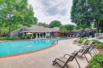 Swimming Pool - Photo Gallery 19