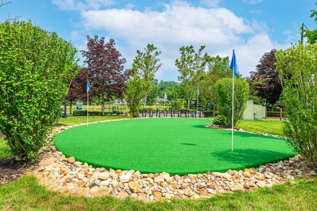 a putting green in a park