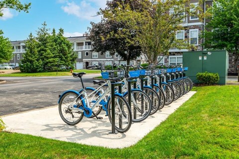 a row of bikes parked in front of an apartment building