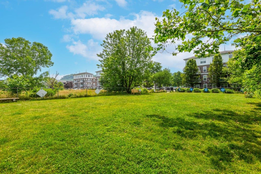 a grassy area with trees and buildings in the background