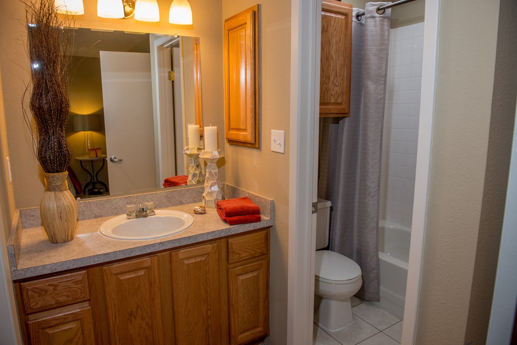 Bathroom at The Lakes of Schaumburg Apartment Homes