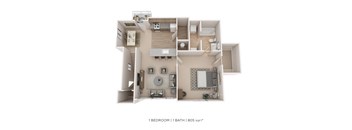 A 3D floor plan of a 1 bedroom 1 bath apartment with a total area of 805 sqft.