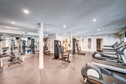 A gym with treadmills, weights, and other exercise equipment.