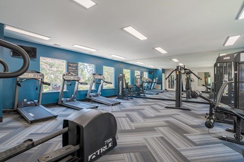 A gym with a variety of equipment including treadmills, weights, and exercise machines.