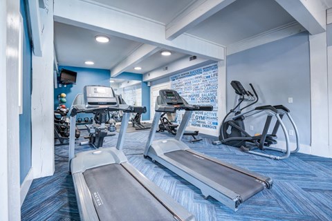 a gym with cardio equipment and exercise machines