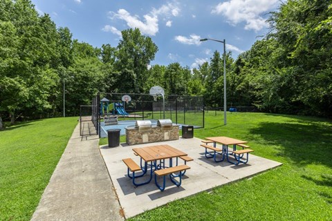 Grilling Station & Picnic Area