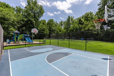 Basketball Court