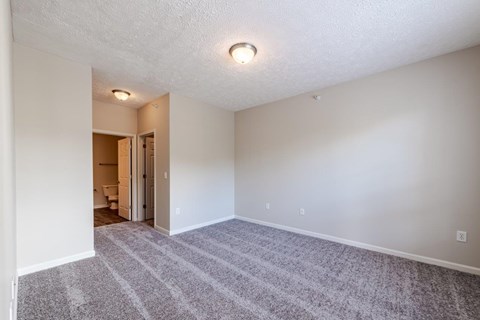 A room with a carpeted floor and a doorway leading to another room.