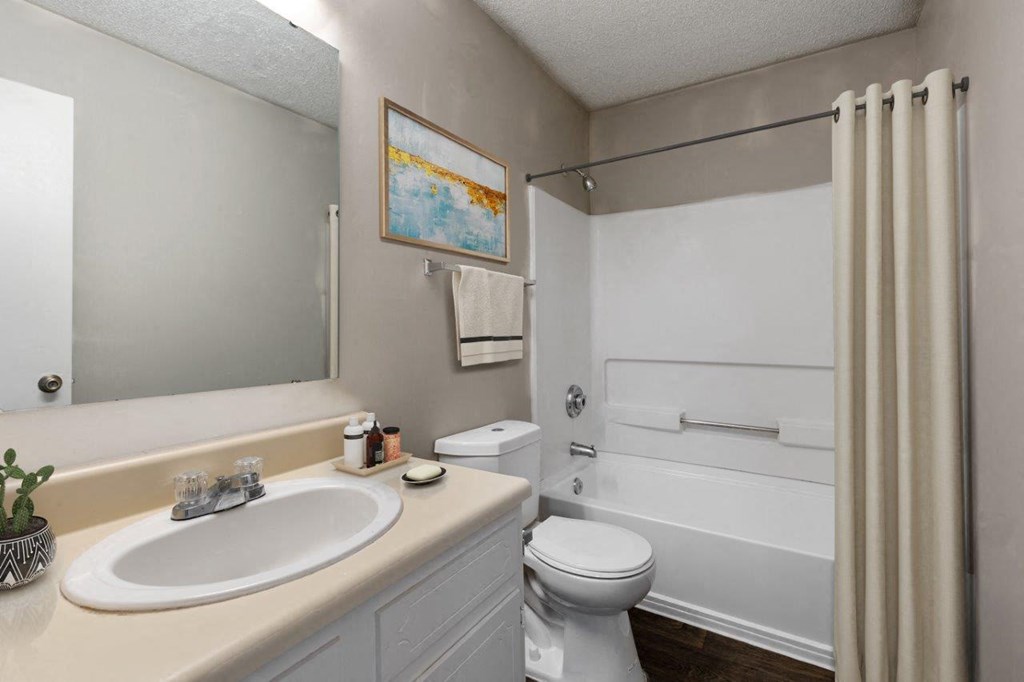 a bathroom with a sink and a toilet and a tub