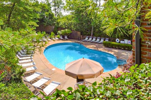 A pool surrounded by trees and plants.