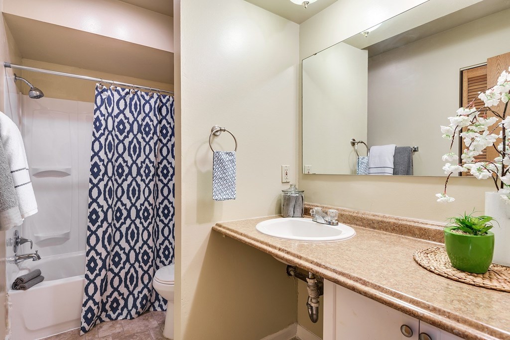A bathroom with a sink, mirror, and shower.