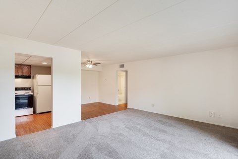 A large empty room with a grey carpet.