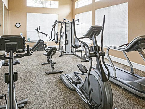 A gym with a variety of exercise equipment including treadmills, stationary bikes, and elliptical machines.