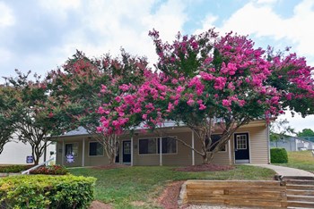 Exterior - Photo Gallery 6