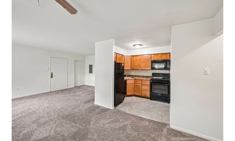 A living room with a grey carpet and a kitchen area with wooden cabinets and black appliances.