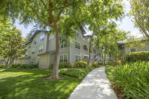 A tree-lined walkway leads to a building.