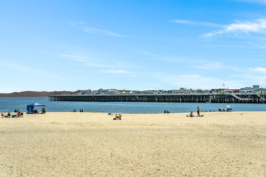 people on the beach and the pier at the oceanside