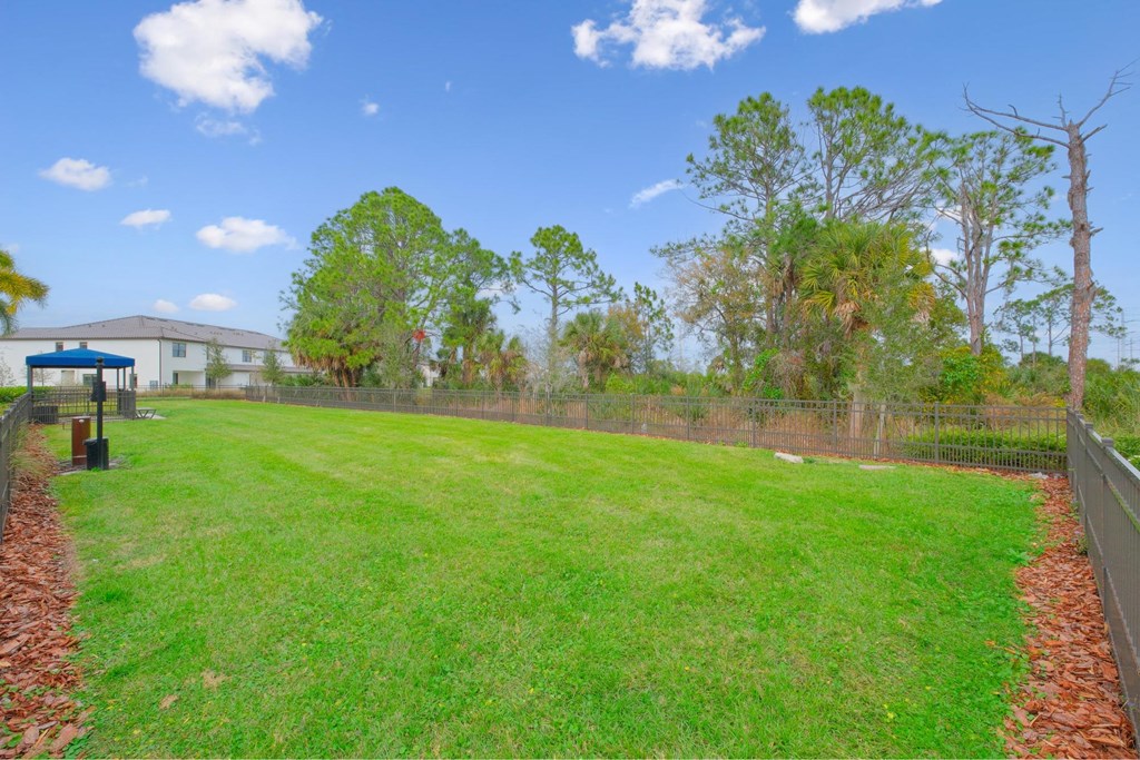community green space at Fiore Townhomes, Florida