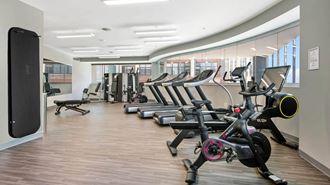 a row of exercise bikes and elliptical trainers in a fitness room