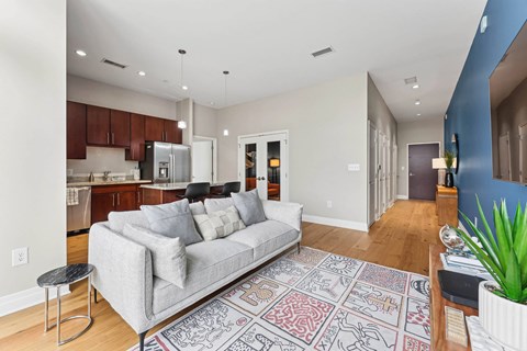 A living room with a grey couch and a patterned rug.