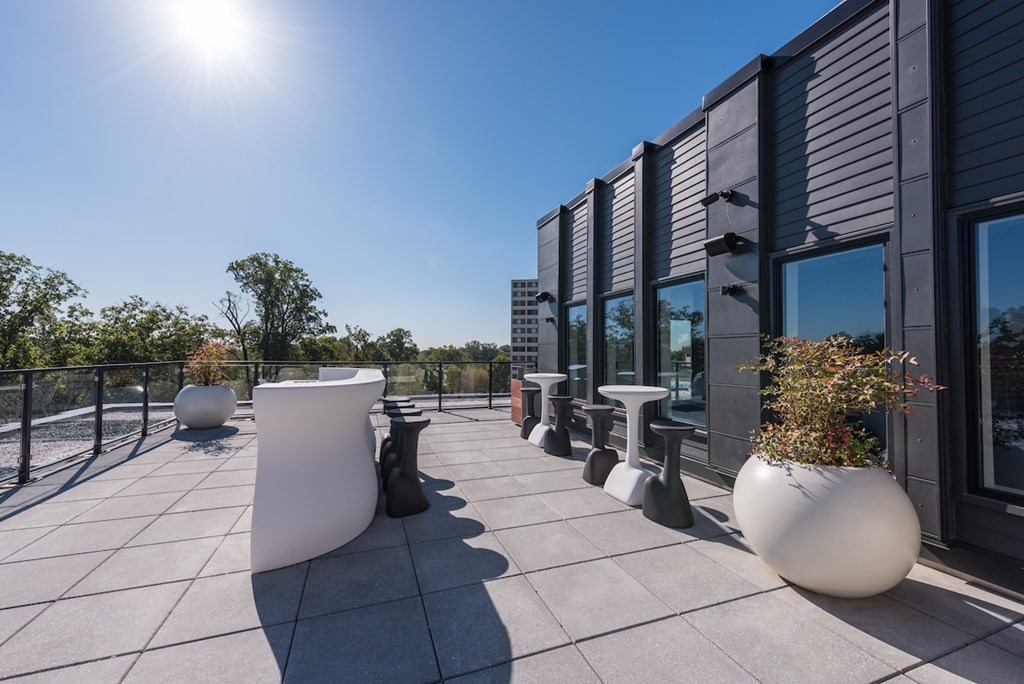 A sunny day on a rooftop patio with white planters and black railings.