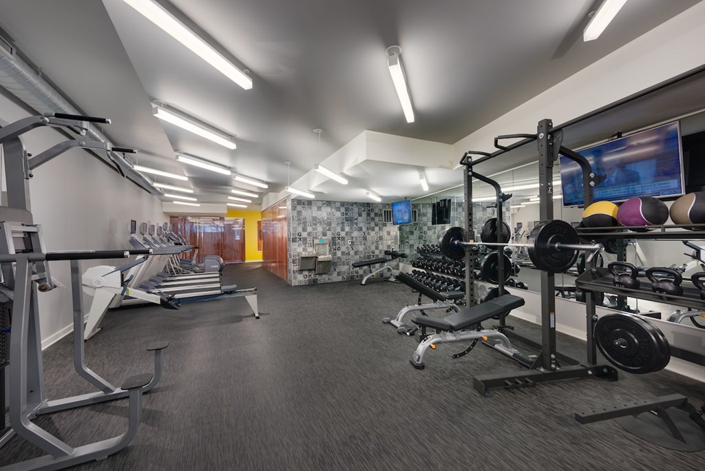A gym with a variety of equipment including treadmills, weights, and a television.
