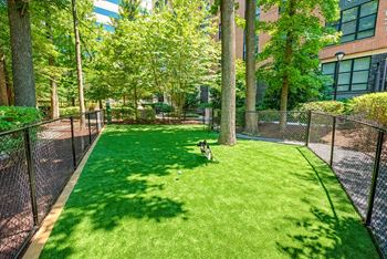 Pet-friendly living with on-site dog park