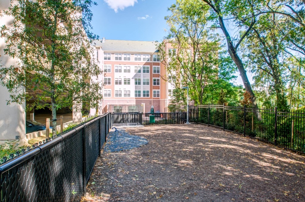 a yard with a fence and a building in the background