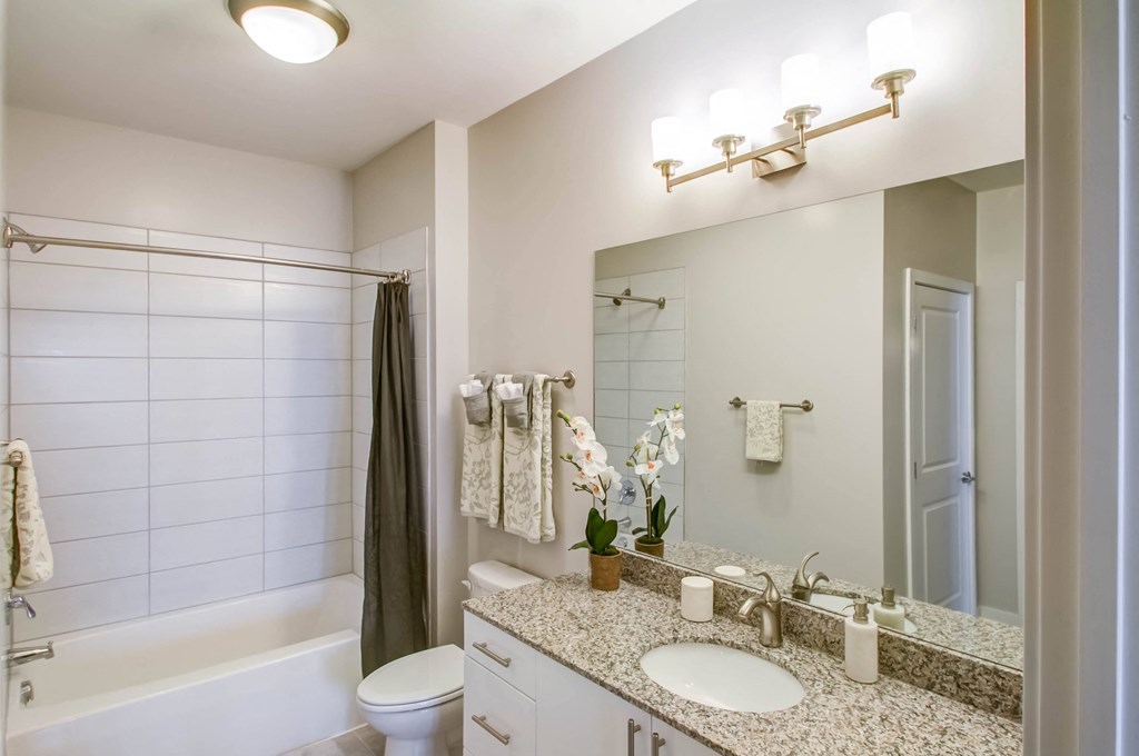 a bathroom with a sink and a mirror and a shower