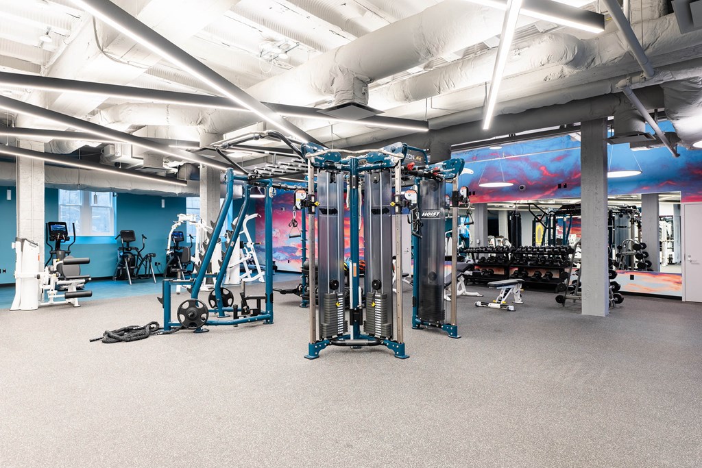 Cardio and Weight lifting