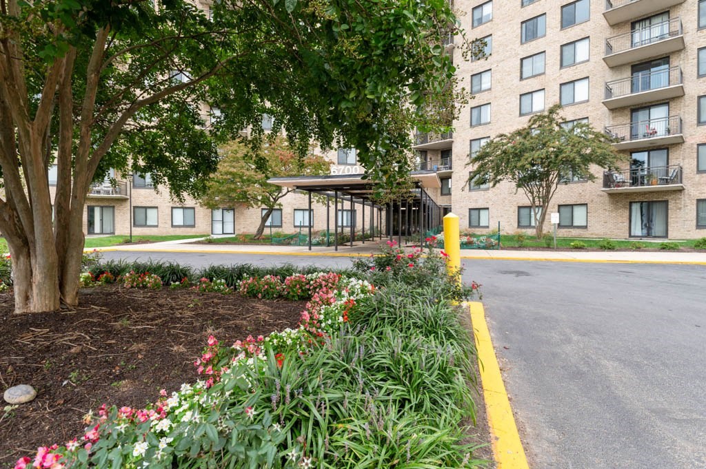 a street in front of an apartment building with a tree and flowers
