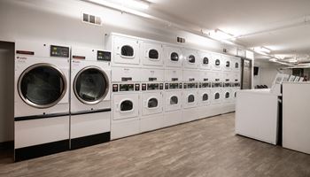 a row of washers and dryers in a laundry room
