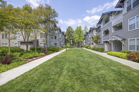 A row of apartment buildings with a grassy area in the foreground.
