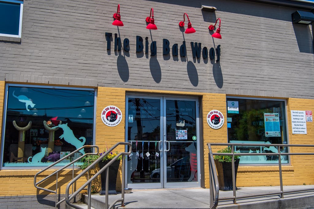 the front of a store with a glass door and a window display of a cow