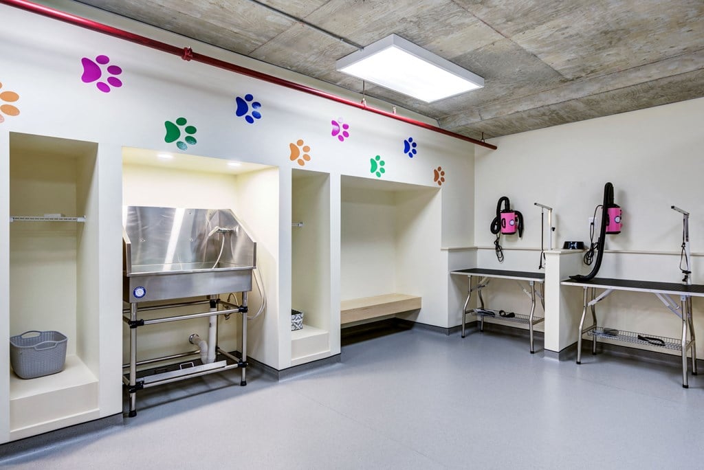 a therapy room with benches and a sink and a wall with colorful shapes