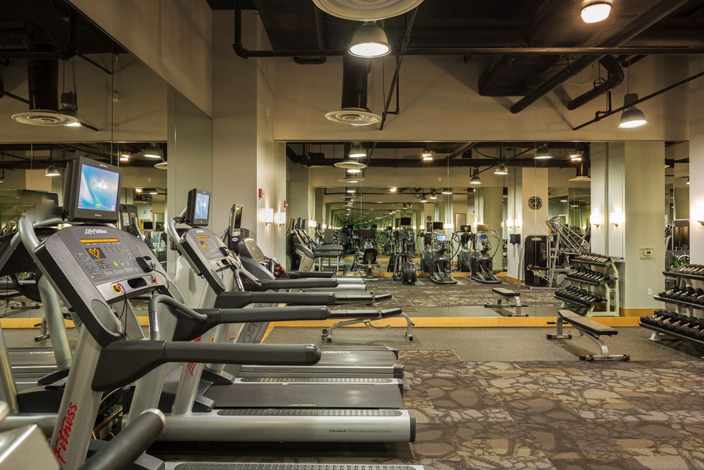 a gym with cardio equipment and weights in a building