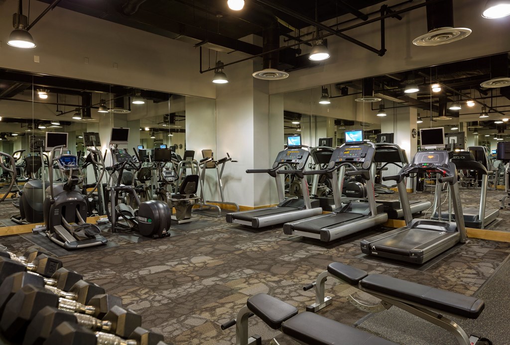 a gym with cardio equipment and weights in a building