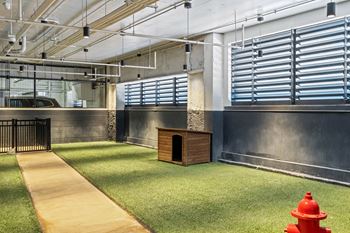 Pet Washing Station and Pet Play Area