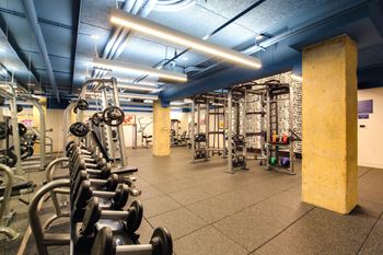 A gym with a row of dumbbells on the left.