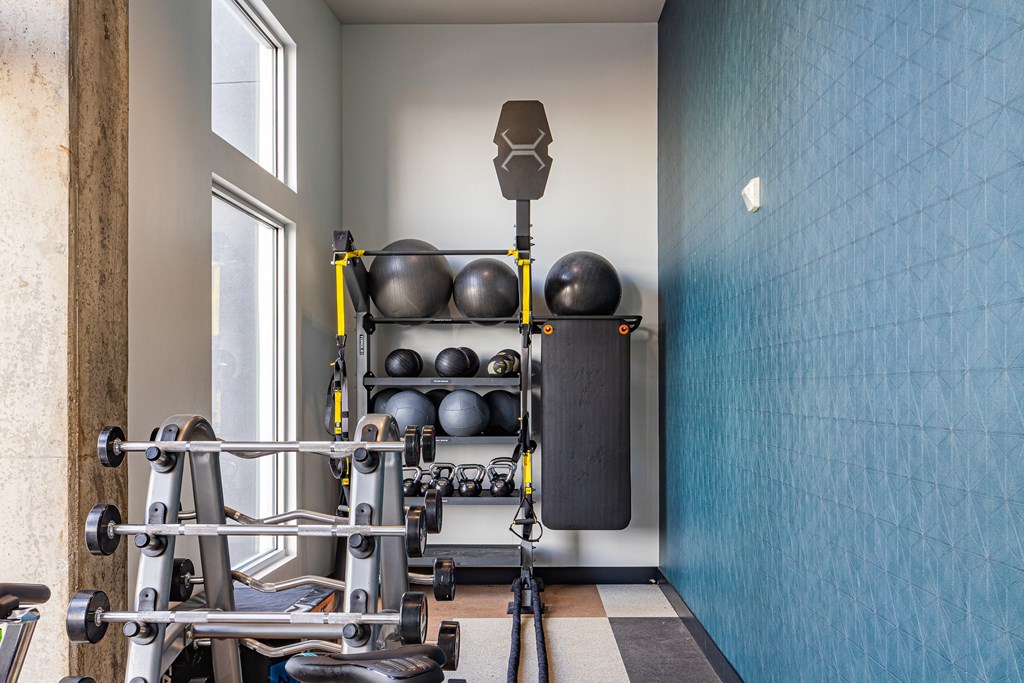 A gym with a blue wall and a weight rack.
