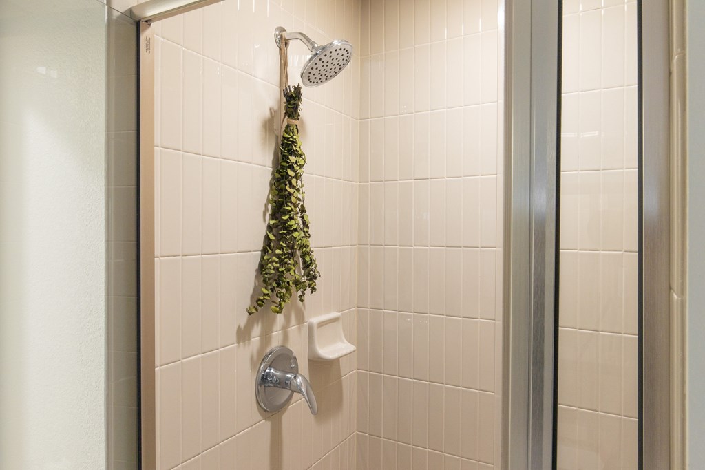 A shower head with a hanging plant.