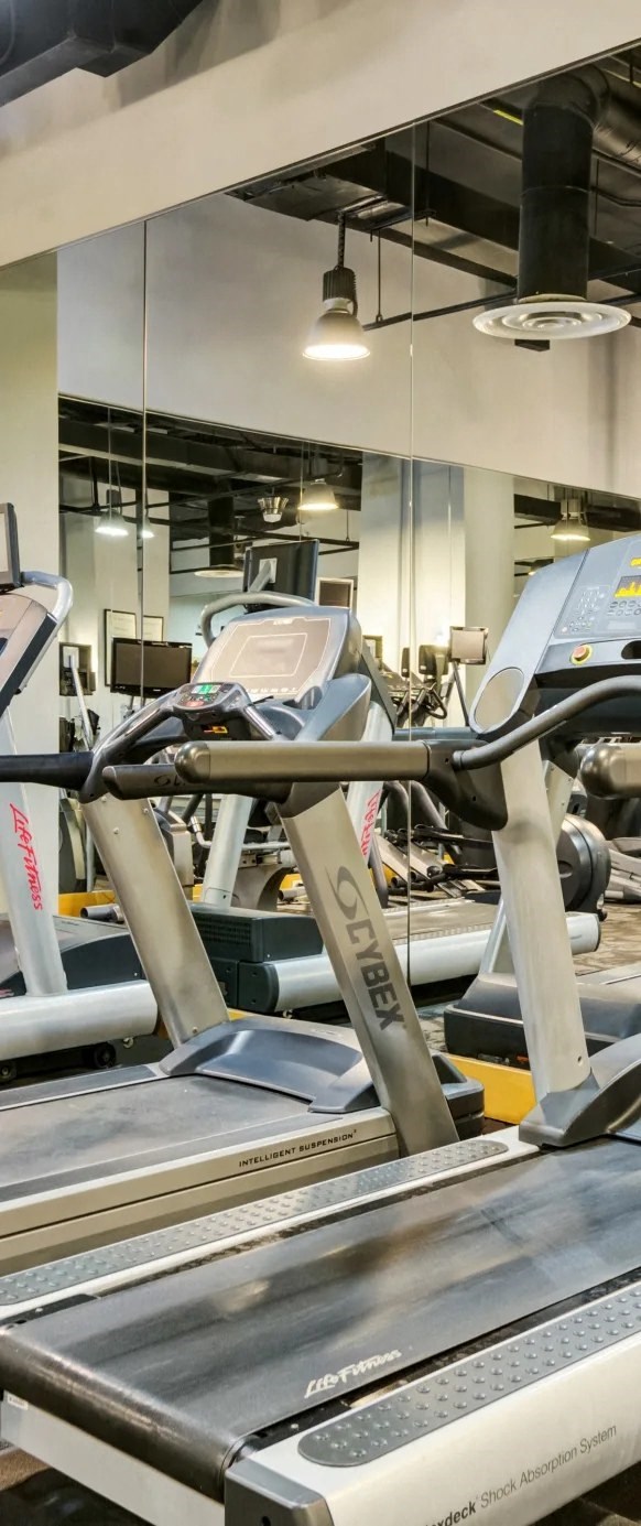 a row of weights machines in a gym