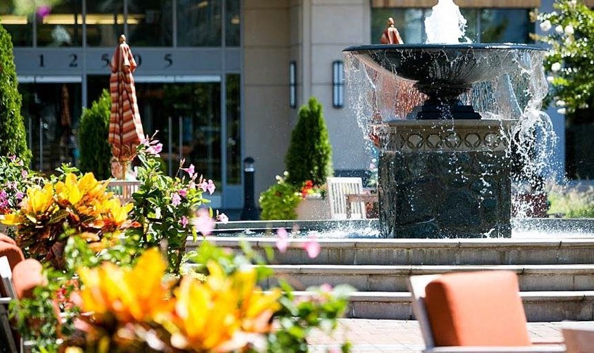 a water fountain in front of a building