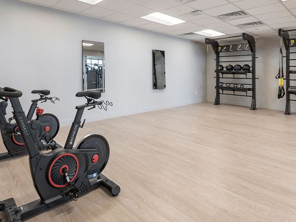 A gym with a row of stationary bikes and a rack of dumbbells.