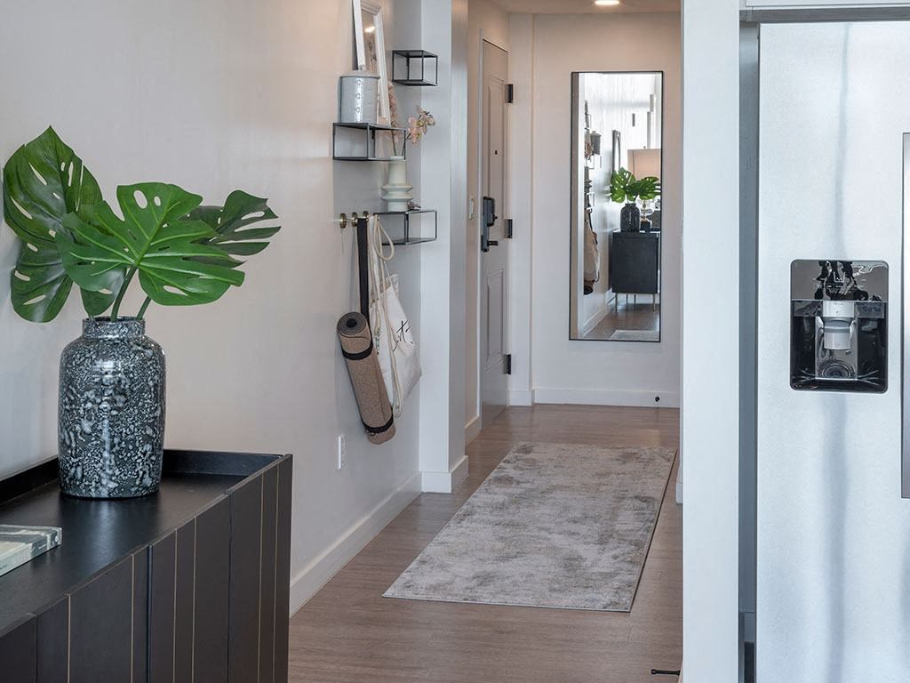 A large green leafy plant sits in a grey vase on a black cabinet.